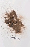 藏品(曲尾苔科)的圖片